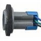 Purchase Top-Quality Tail Light Socket by BLUE STREAK (HYGRADE MOTOR) - S548 pa4
