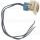 Purchase Top-Quality Tail Light Socket by BLUE STREAK (HYGRADE MOTOR) - S590 pa15