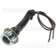 Purchase Top-Quality Tail Light Socket by BLUE STREAK (HYGRADE MOTOR) - S773 pa7