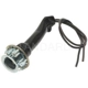 Purchase Top-Quality Tail Light Socket by BLUE STREAK (HYGRADE MOTOR) - S773 pa9
