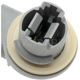 Purchase Top-Quality Prise de lumière arrière de BLUE STREAK (HYGRADE MOTOR) - S791 pa12