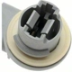 Purchase Top-Quality Prise de lumière arrière de BLUE STREAK (HYGRADE MOTOR) - S791 pa14