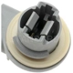 Purchase Top-Quality Prise de lumière arrière de BLUE STREAK (HYGRADE MOTOR) - S791 pa2