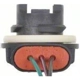 Purchase Top-Quality Prise de lumière arrière de BLUE STREAK (HYGRADE MOTOR) - S872 pa10