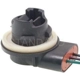 Purchase Top-Quality Prise de lumière arrière de BLUE STREAK (HYGRADE MOTOR) - S872 pa4