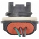 Purchase Top-Quality Prise de lumière arrière de BLUE STREAK (HYGRADE MOTOR) - S872 pa5