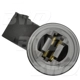 Purchase Top-Quality BWD AUTOMOTIVE - PT2277 - Tail Lamp Socket pa1