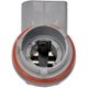 Purchase Top-Quality DORMAN - 645-562 - Tail Lamp Socket pa3