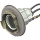 Purchase Top-Quality STANDARD - PRO SERIES - S69 - Back Up Light Socket pa3