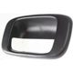 Purchase Top-Quality Various Manufacturers - GM1916102 - Tailgate Handle Bezel pa2