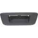 Purchase Top-Quality Various Manufacturers - GM1916107 - Tailgate Handle Bezel pa3