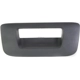 Purchase Top-Quality Various Manufacturers - GM1916107 - Tailgate Handle Bezel pa4