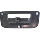 Purchase Top-Quality Various Manufacturers - GM1916107 - Tailgate Handle Bezel pa7