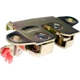 Purchase Top-Quality Tailgate Latch Assembly by DORMAN/HELP - 38731 pa2