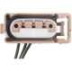 Purchase Top-Quality BWD AUTOMOTIVE - PT5599 - License Lamp Connector pa1