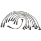 Purchase Top-Quality Tailored Resistor Ignition Wire Set by ACDELCO PROFESSIONAL - 9718G pa4