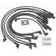 Purchase Top-Quality Tailored Resistor Ignition Wire Set by BLUE STREAK (HYGRADE MOTOR) - 10059 pa1