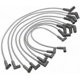 Purchase Top-Quality Tailored Resistor Ignition Wire Set by BLUE STREAK (HYGRADE MOTOR) - 26923 pa5