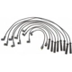Purchase Top-Quality Tailored Resistor Ignition Wire Set by BLUE STREAK (HYGRADE MOTOR) - 27421 pa3