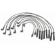 Purchase Top-Quality Tailored Resistor Ignition Wire Set by BLUE STREAK (HYGRADE MOTOR) - 27421 pa5