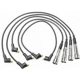 Purchase Top-Quality Tailored Resistor Ignition Wire Set by BLUE STREAK (HYGRADE MOTOR) - 27462 pa5