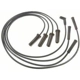 Purchase Top-Quality Tailored Resistor Ignition Wire Set by BLUE STREAK (HYGRADE MOTOR) - 27495 pa2