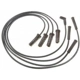 Purchase Top-Quality Tailored Resistor Ignition Wire Set by BLUE STREAK (HYGRADE MOTOR) - 27495 pa3