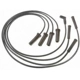 Purchase Top-Quality Tailored Resistor Ignition Wire Set by BLUE STREAK (HYGRADE MOTOR) - 27495 pa5