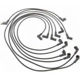 Purchase Top-Quality Tailored Resistor Ignition Wire Set by BLUE STREAK (HYGRADE MOTOR) - 27628 pa5