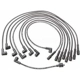 Purchase Top-Quality Tailored Resistor Ignition Wire Set by BLUE STREAK (HYGRADE MOTOR) - 27831 pa6