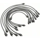 Purchase Top-Quality Tailored Resistor Ignition Wire Set by BLUE STREAK (HYGRADE MOTOR) - 27834 pa3