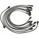 Purchase Top-Quality Tailored Resistor Ignition Wire Set by BLUE STREAK (HYGRADE MOTOR) - 27846 pa2