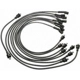 Purchase Top-Quality Tailored Resistor Ignition Wire Set by BLUE STREAK (HYGRADE MOTOR) - 27846 pa5