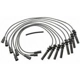 Purchase Top-Quality Tailored Resistor Ignition Wire Set by BLUE STREAK (HYGRADE MOTOR) - 27884 pa6
