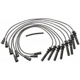 Purchase Top-Quality Tailored Resistor Ignition Wire Set by BLUE STREAK (HYGRADE MOTOR) - 27884 pa7