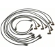 Purchase Top-Quality Tailored Resistor Ignition Wire Set by BLUE STREAK (HYGRADE MOTOR) - 27893 pa4
