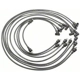 Purchase Top-Quality Tailored Resistor Ignition Wire Set by BLUE STREAK (HYGRADE MOTOR) - 27893 pa5
