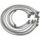 Purchase Top-Quality Tailored Resistor Ignition Wire Set by BLUE STREAK (HYGRADE MOTOR) - 27893 pa7
