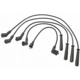 Purchase Top-Quality Tailored Resistor Ignition Wire Set by BLUE STREAK (HYGRADE MOTOR) - 29410 pa5