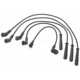 Purchase Top-Quality Tailored Resistor Ignition Wire Set by BLUE STREAK (HYGRADE MOTOR) - 29410 pa6