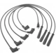 Purchase Top-Quality Tailored Resistor Ignition Wire Set by BLUE STREAK (HYGRADE MOTOR) - 29450 pa2