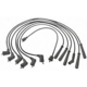 Purchase Top-Quality Tailored Resistor Ignition Wire Set by BLUE STREAK (HYGRADE MOTOR) - 29633 pa5