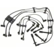 Purchase Top-Quality Tailored Resistor Ignition Wire Set by BLUE STREAK (HYGRADE MOTOR) - 29652 pa2
