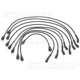 Purchase Top-Quality Tailored Resistor Ignition Wire Set by BLUE STREAK (HYGRADE MOTOR) - 29802 pa3