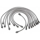 Purchase Top-Quality Tailored Resistor Ignition Wire Set by BLUE STREAK (HYGRADE MOTOR) - 29802 pa5