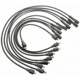 Purchase Top-Quality Tailored Resistor Ignition Wire Set by BLUE STREAK (HYGRADE MOTOR) - 29826 pa5