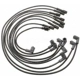 Purchase Top-Quality Tailored Resistor Ignition Wire Set by BLUE STREAK (HYGRADE MOTOR) - 29896 pa5