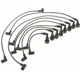 Purchase Top-Quality Tailored Resistor Ignition Wire Set by BLUE STREAK (HYGRADE MOTOR) - 29900 pa2