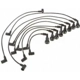 Purchase Top-Quality Tailored Resistor Ignition Wire Set by BLUE STREAK (HYGRADE MOTOR) - 29900 pa3