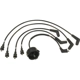 Purchase Top-Quality Tailored Resistor Ignition Wire Set (Pack of 30) by BLUE STREAK (HYGRADE MOTOR) - 55008 pa2